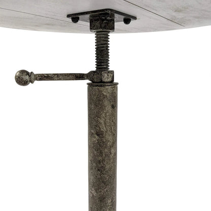 Carolina Living Colton Adjustable Vintage Table - Natural Driftwood Top - Aged Iron Base