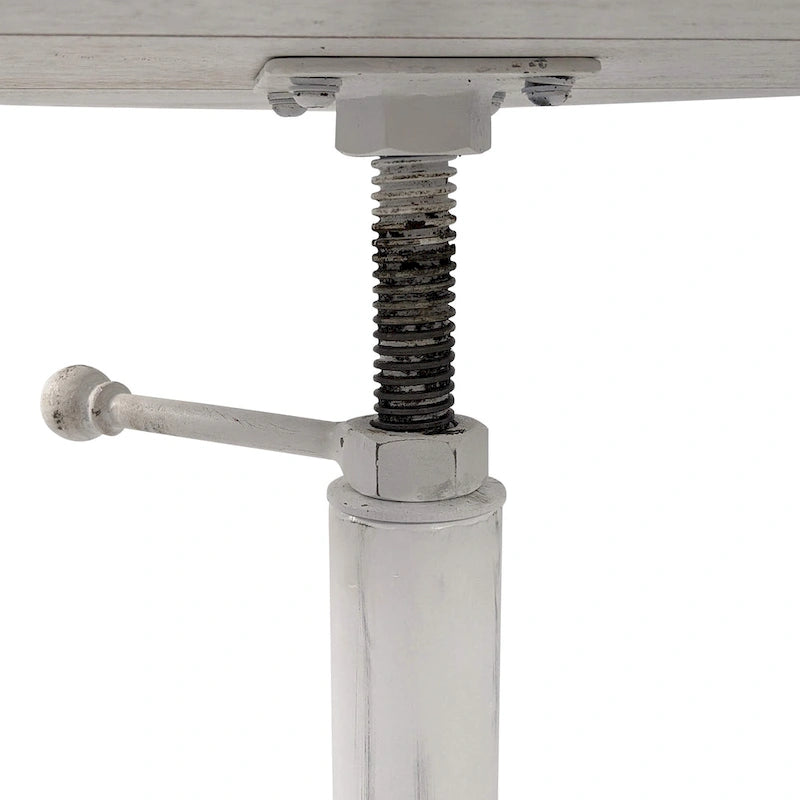 Carolina Living Colton Adjustable Vintage Table - Natural Driftwood Top - Aged Iron Base