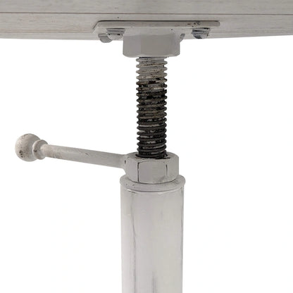 Carolina Living Colton Adjustable Vintage Table - Natural Driftwood Top - Aged Iron Base