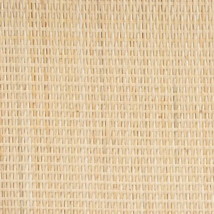 Liora Bohemian Natural Brown Finished Rattan 2-Tier Display Shelf