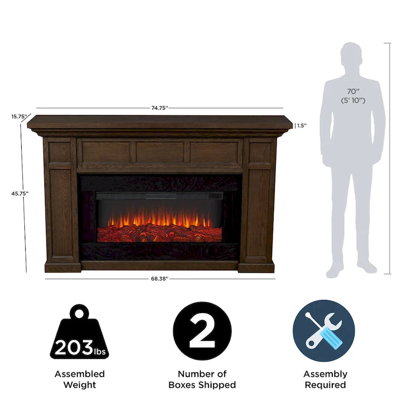 Alcott 75 Landscape Electric Fireplace by Real Flame